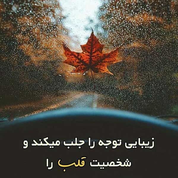 عکس-برگ-و-شیشه-و-باران